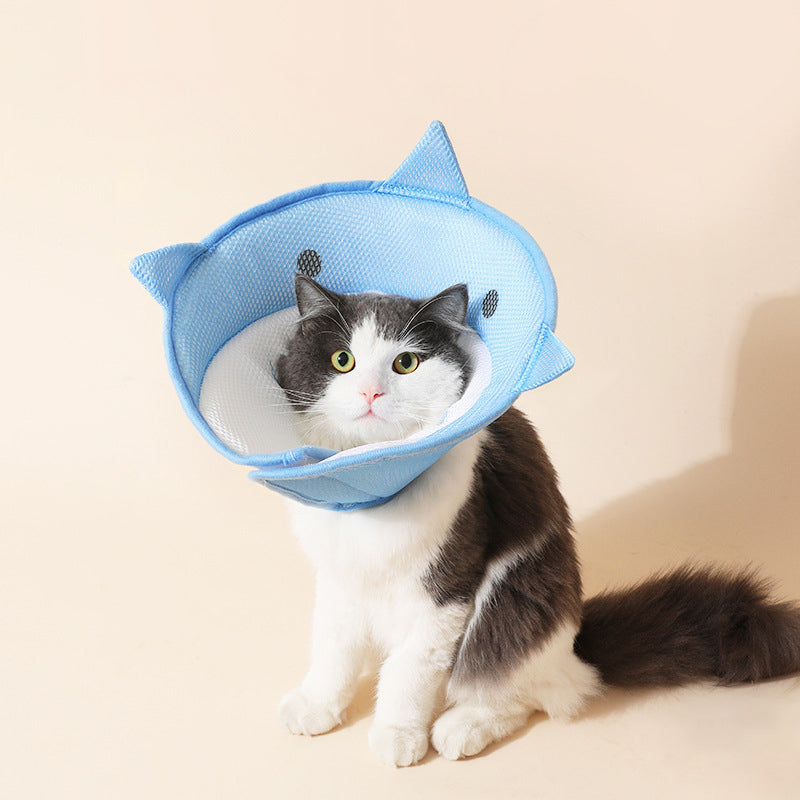 Soft Shark-Shape Recovery Collar, for cats and dogs.