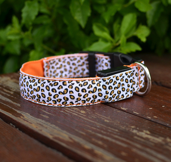 Rechargeable LED Safety Collar, for dogs.