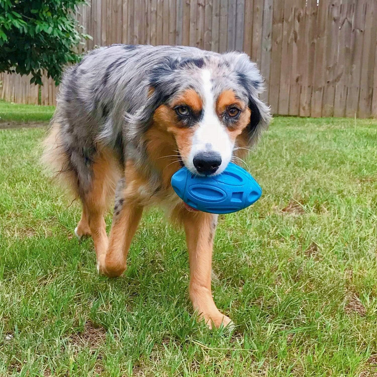 Squeaky Rubber Chew Ball for Medium and Large Dogs, for dogs.