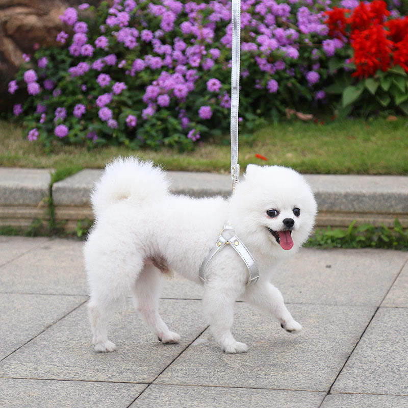 Adjustable PU Leather Chest Harness, for dogs and cats.