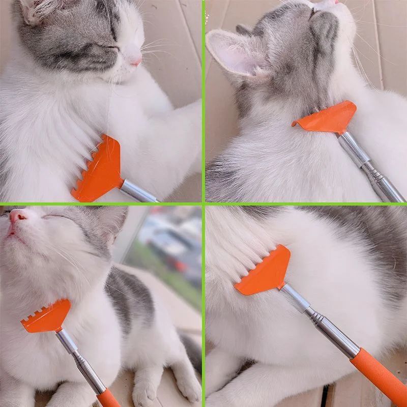 Retractable Massage and Scratching Toy, for cats.
