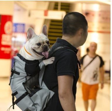 Ventilated Pet Travel Backpack with Safety Buckle