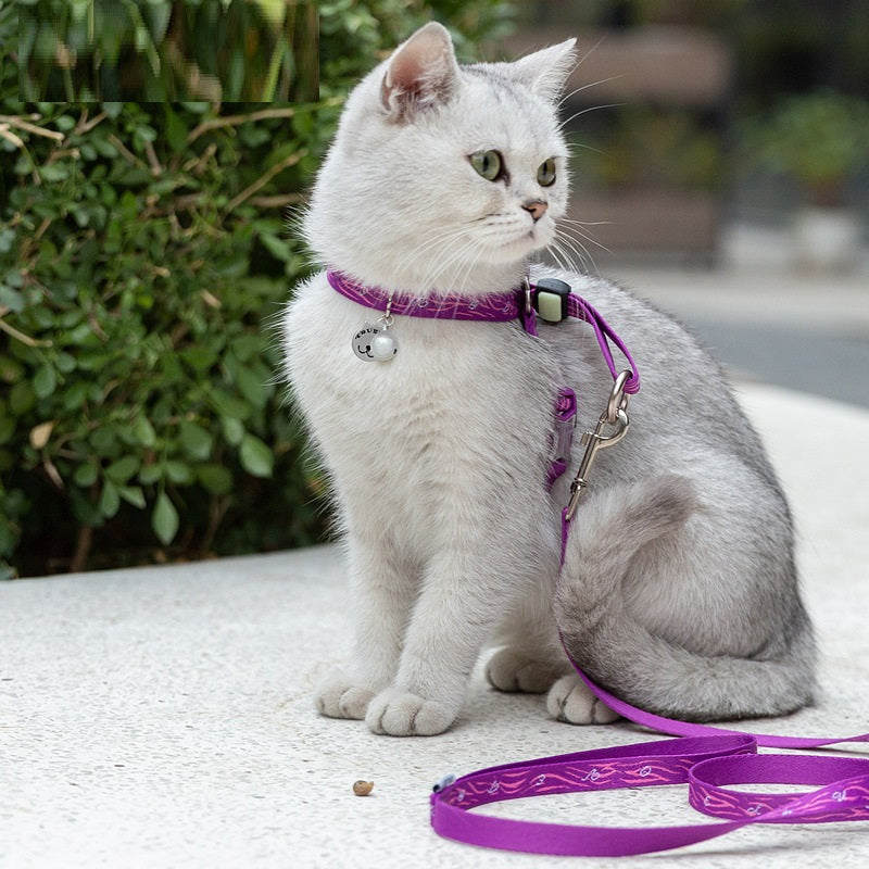 Chest Strap Leash Set with Bell for Cats and Dogs