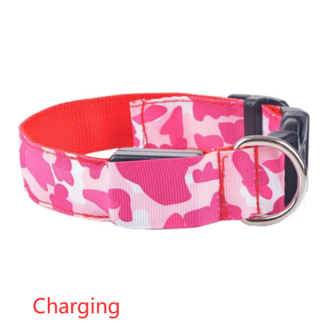 Light-Up Camouflage Dog Collar for Night Walks, for dogs.