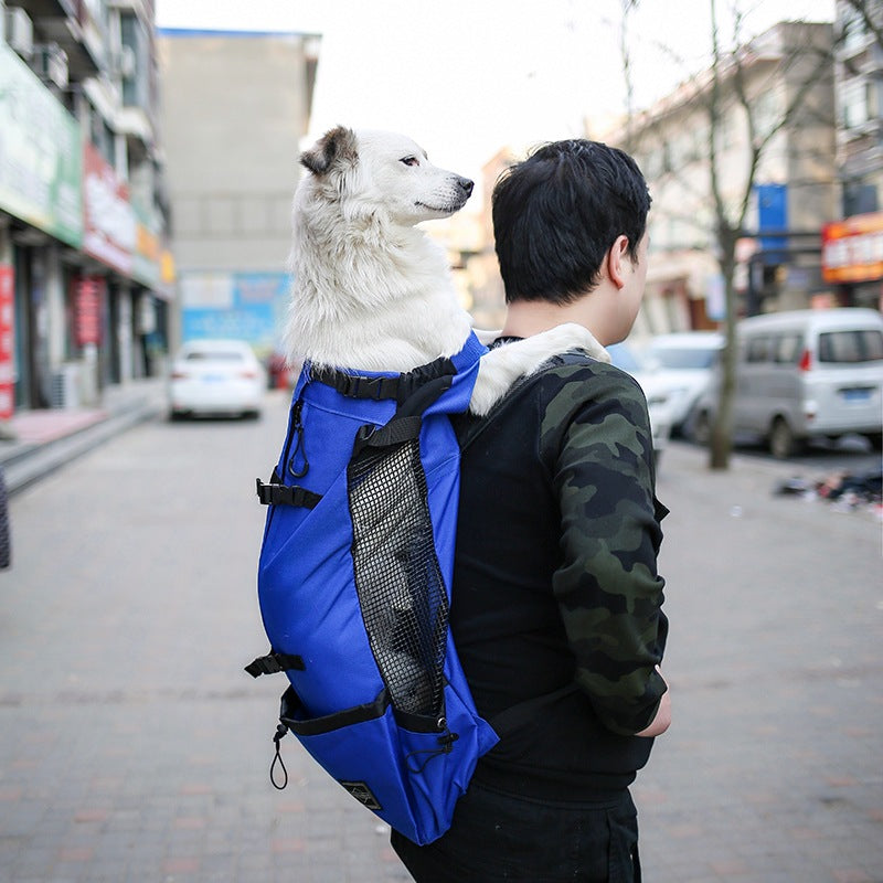 Double Shoulder Travel Backpack Carrier for Small Dogs