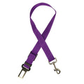 Retractable Car Seat Belt Rope Leash for Dogs