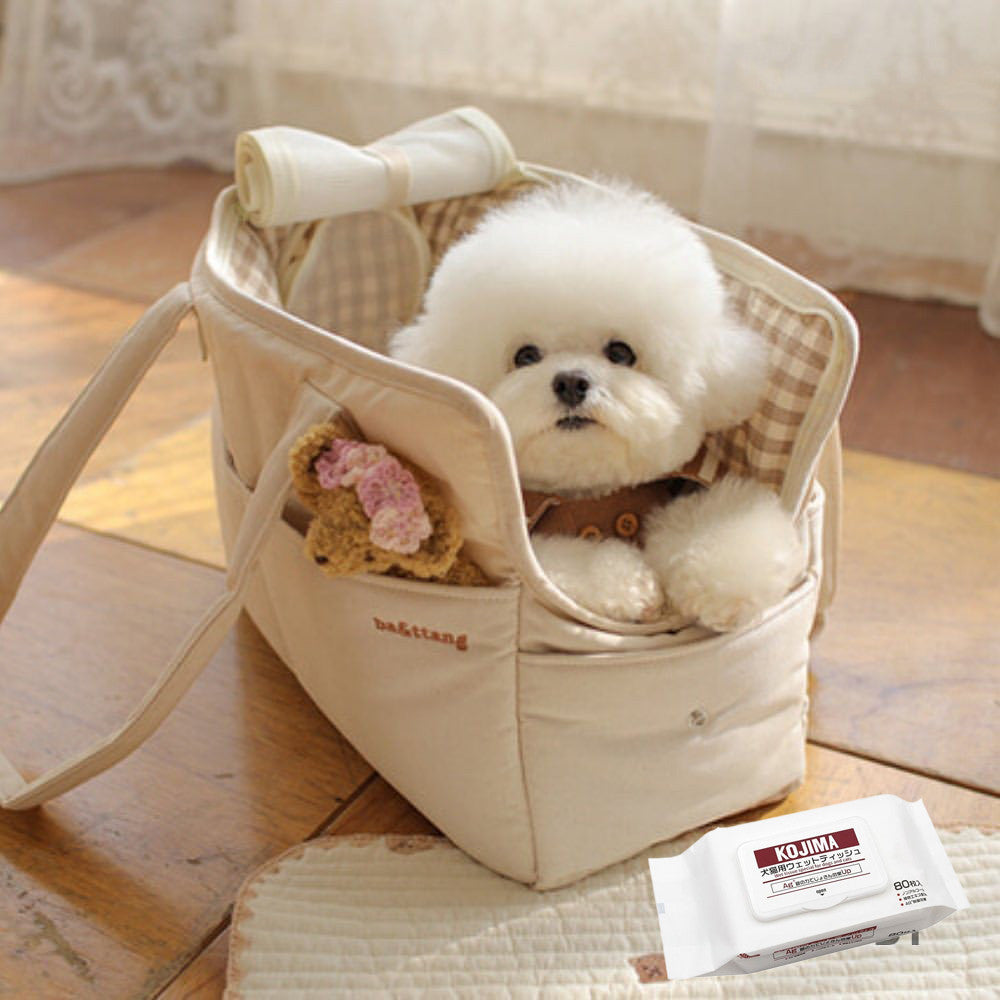 Portable Canvas Go-Out Carrier Tote Bag, for cats.