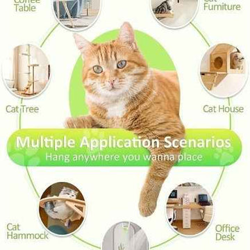 Interactive Electric Mouse Door Holder Toy for Cats - Colorful & Automated – side view