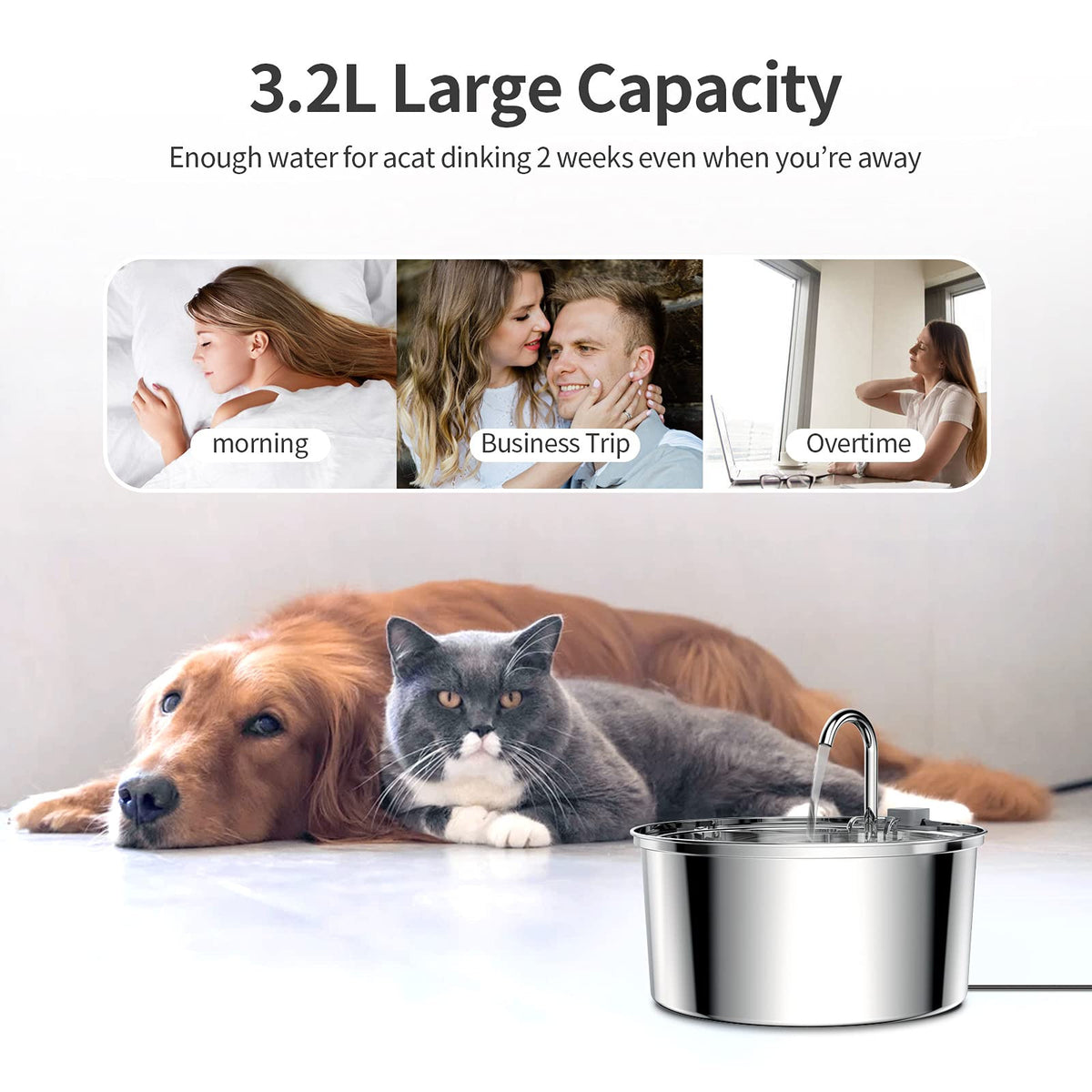 Stainless Steel Automatic Filtered Pet Water Fountain