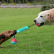 Durable Dumbbell Chew Stick – Teeth Cleaning Dog Toy