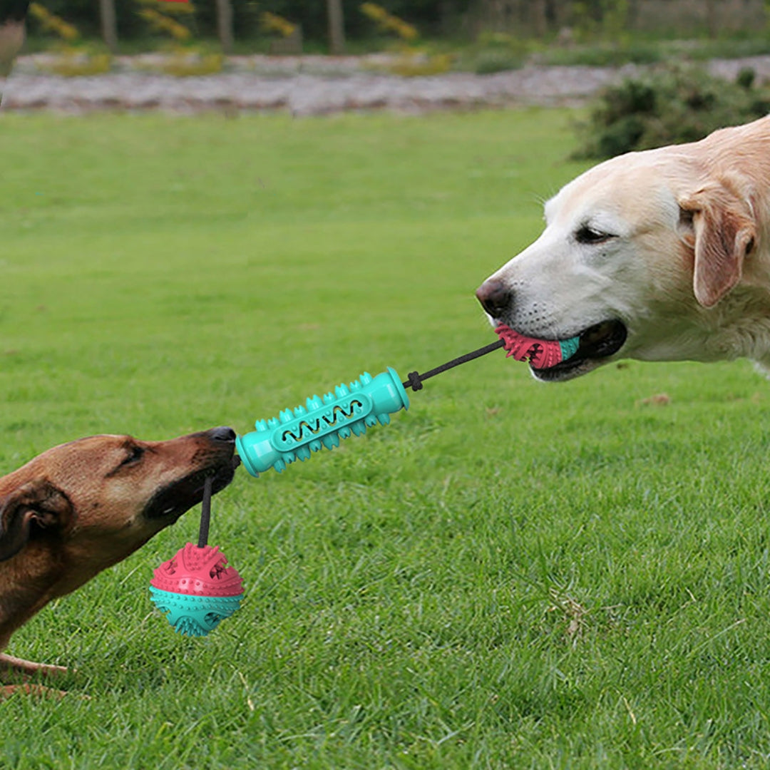 Dog Durable Chew Teeth Cleaning Toy Chew Stick - kindoPet