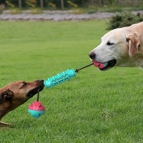 Dog Durable Chew Teeth Cleaning Toy Chew Stick - kindoPet
