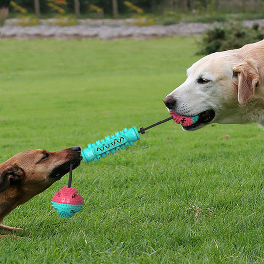Durable Dumbbell Chew Stick – Teeth Cleaning Dog Toy