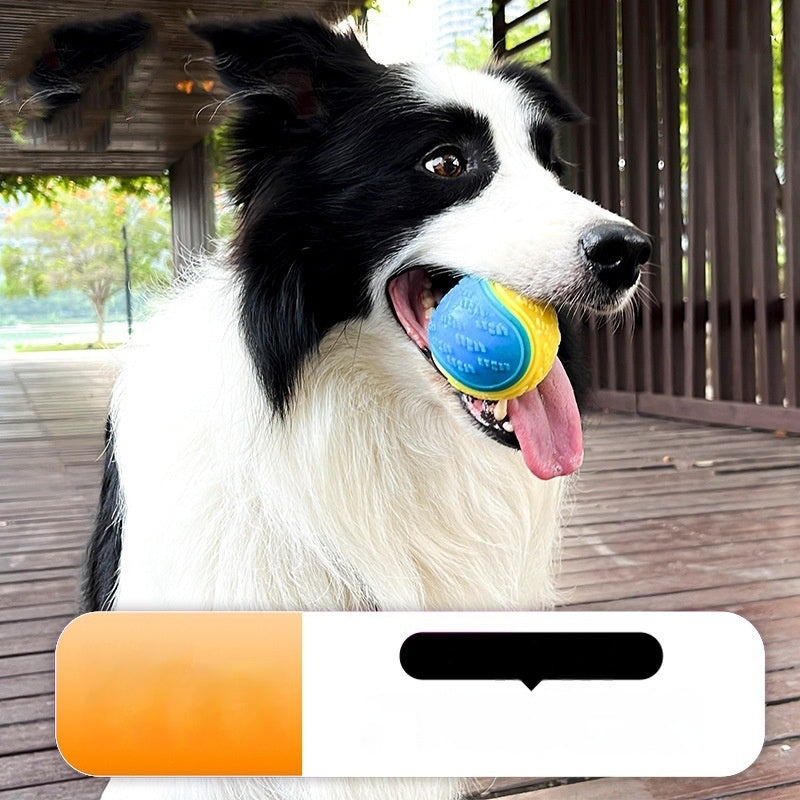 TPR Sound Ball, for dogs.