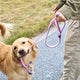 Dual-Color Embossed Dog Leash & Collar Set – Fashion Walking Set