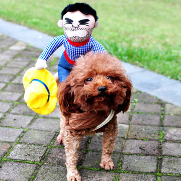 Halloween Pet Costume – Funny Adjustable Cosplay Outfit for Dogs – close-up