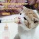 Kitten & Puppy Nursing Bottle Set – Silicone Feeding Syringe
