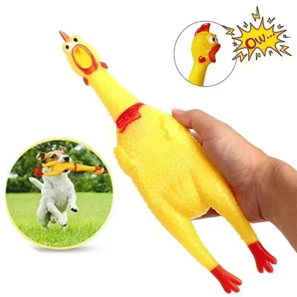 Screaming Chicken Squeaky Dog Toy in Three Sizes, for dogs.