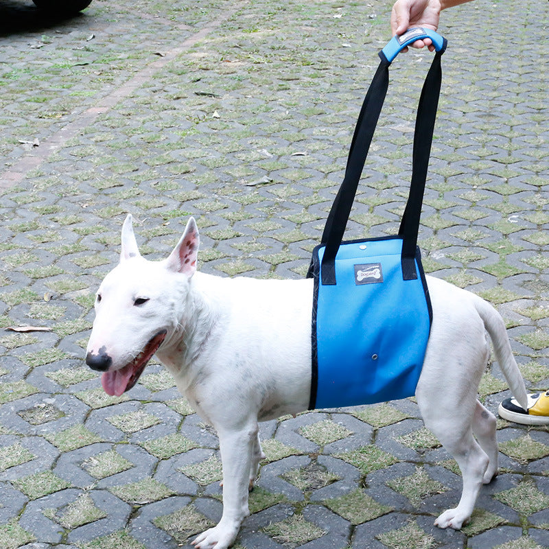 Oxford Cloth Walking Belt Harness, for dogs.
