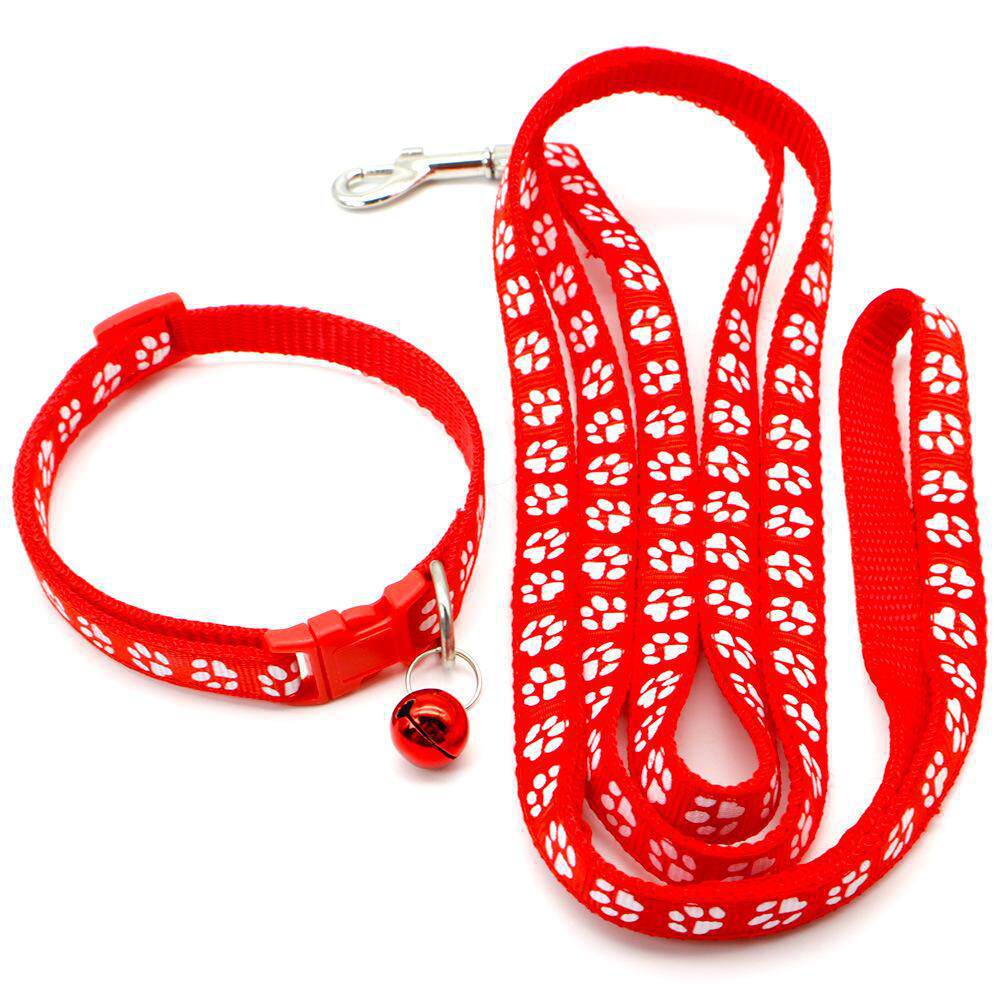 Lightweight Nylon Leash, for dogs and cats.