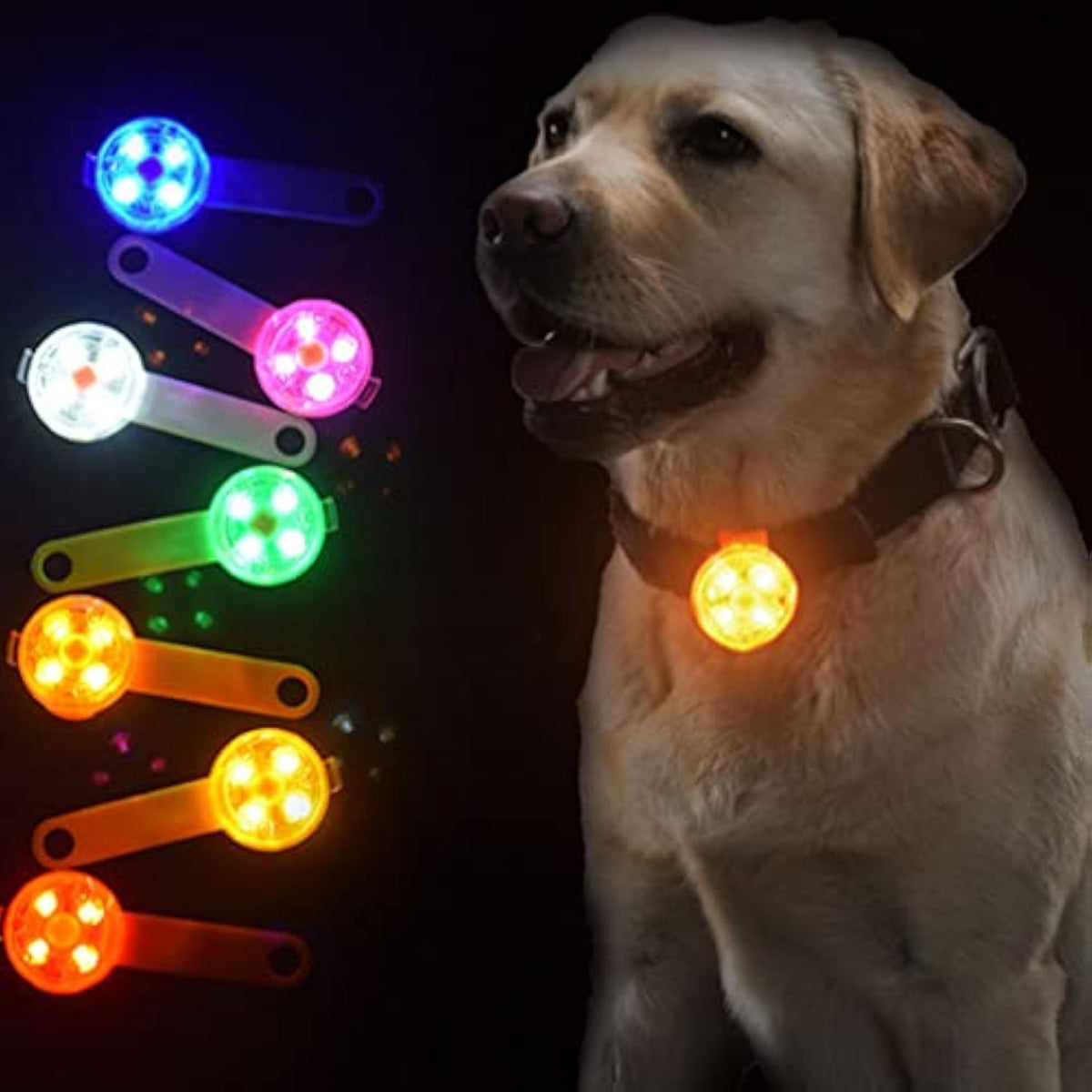 LED Glow Pendant, for dogs.