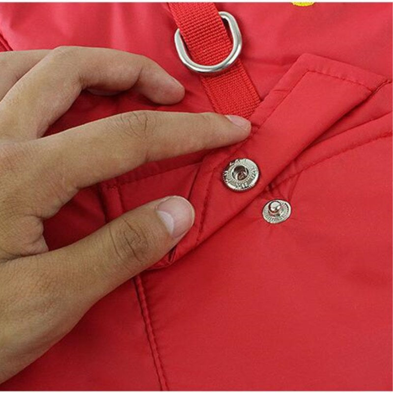 Padded Winter Cotton Coat, for dogs.