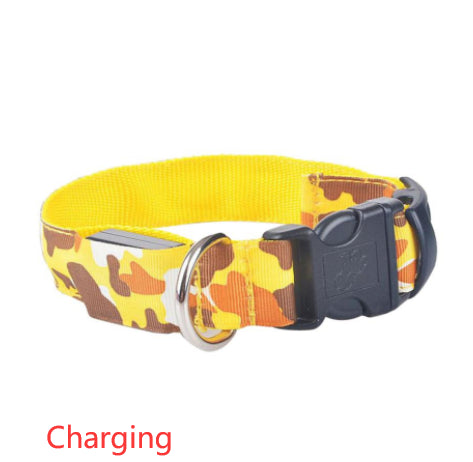 Light-Up Camouflage Dog Collar for Night Walks, for dogs.