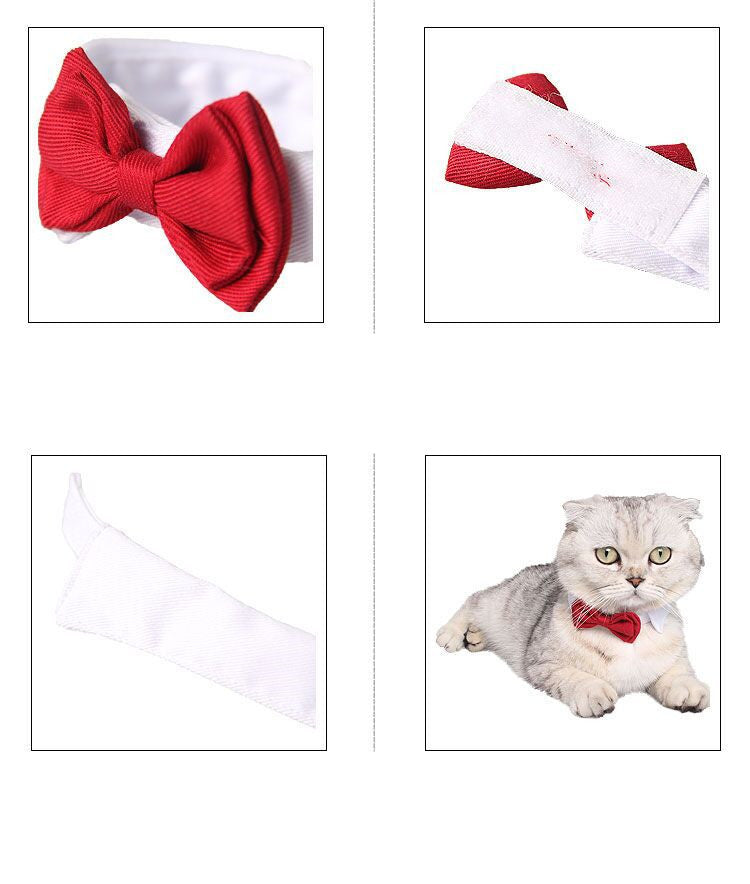 Cotton Bow Tie Collar Accessory, for dogs and cats.