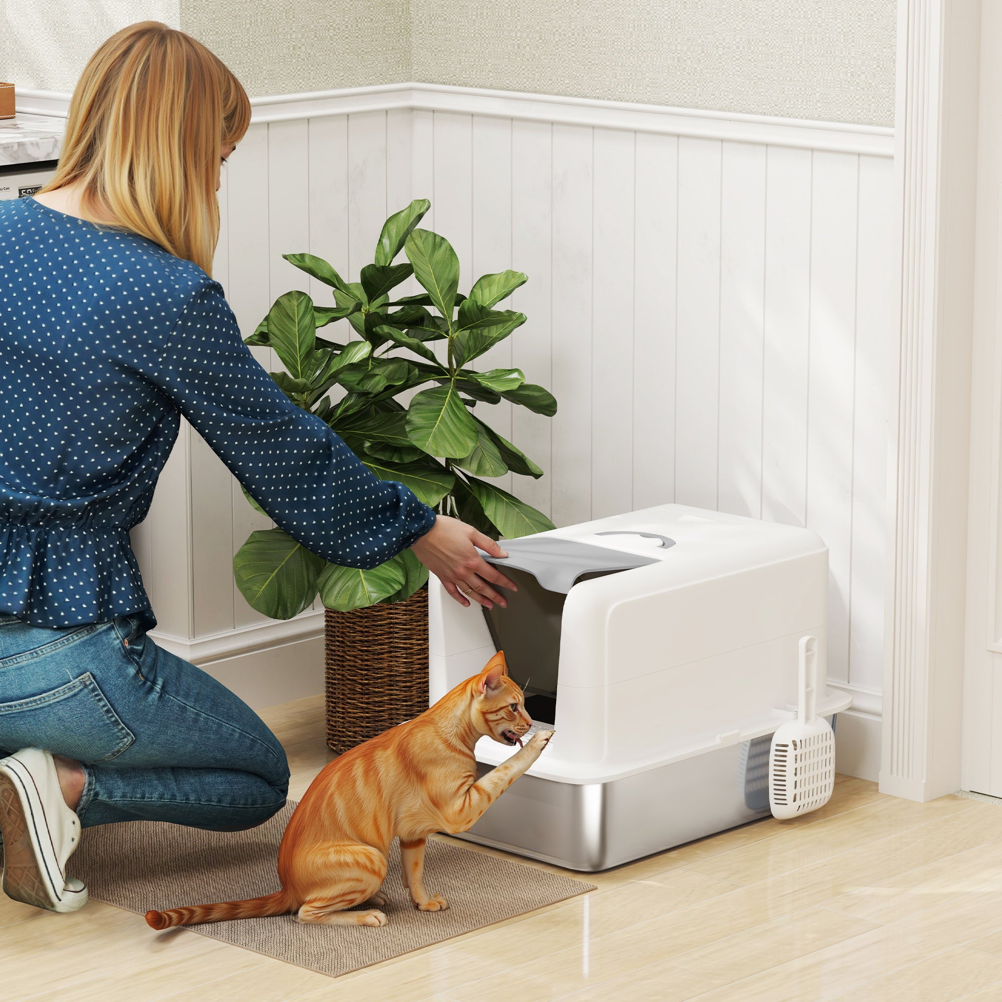 Covered Cat Litter Box with Lid