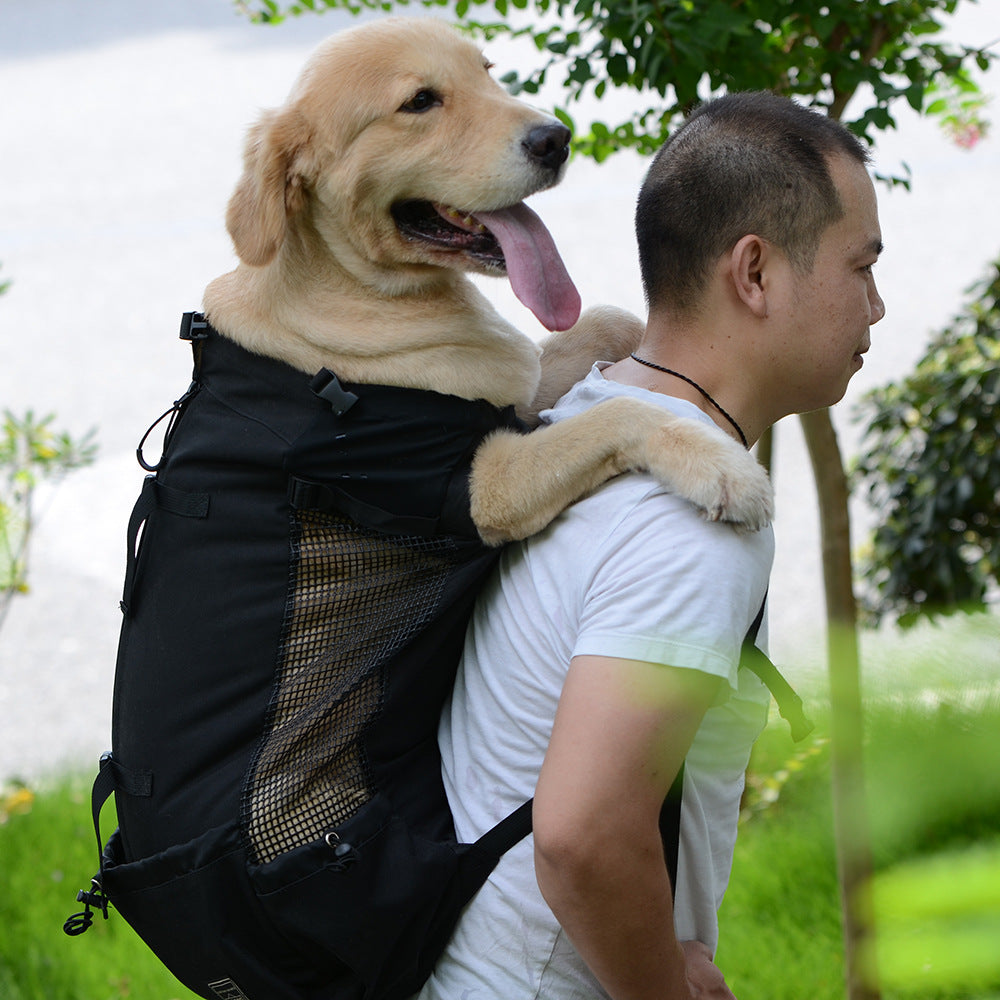 Ventilated Pet Travel Backpack with Safety Buckle