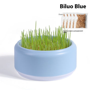 Fast-Growing Soilless Hydroponic Cat Grass Kit with Seeds and Pot – lifestyle photo