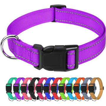 Adjustable Nylon Dog Collar – Reflective Walking Collar All Sizes – close-up