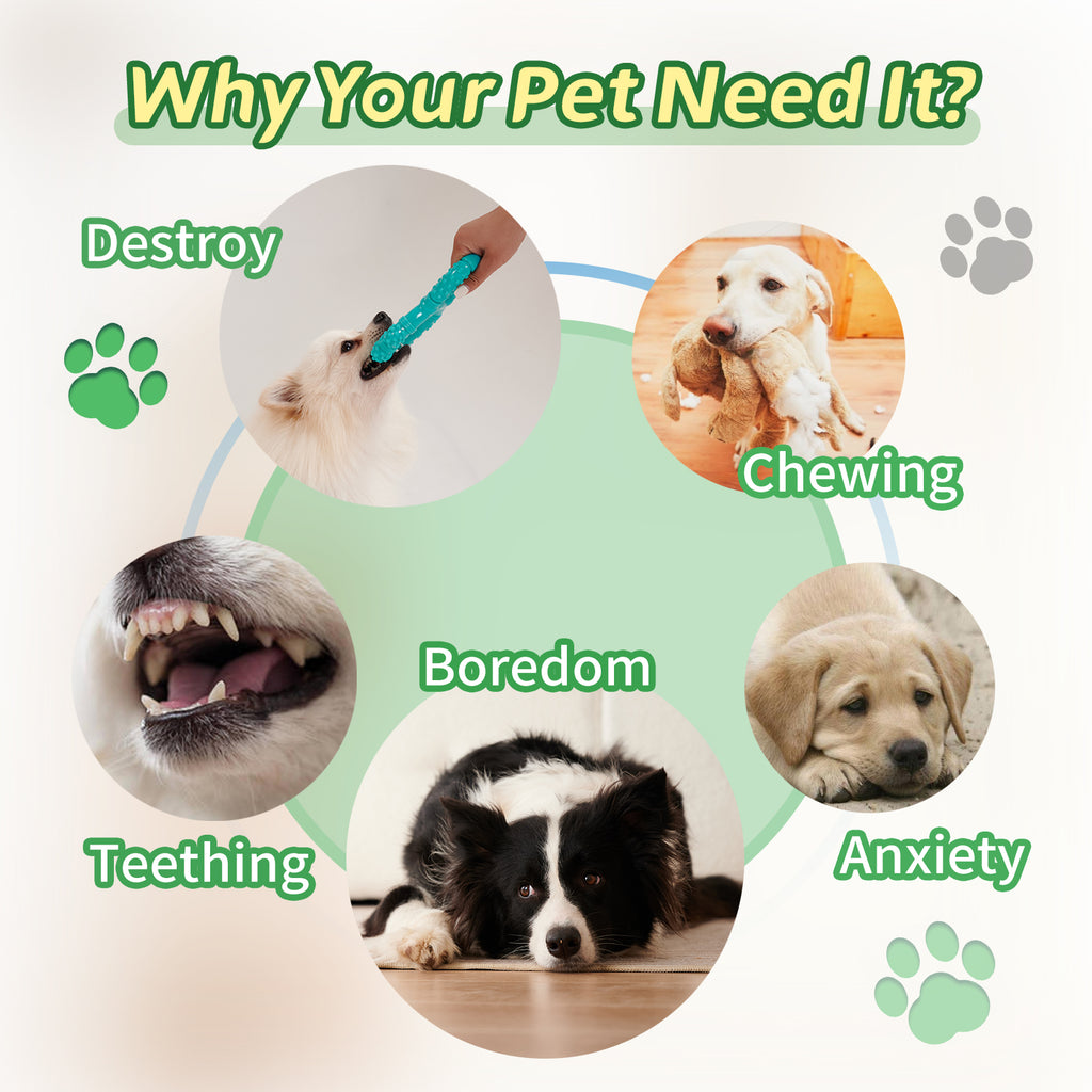 Interactive Plastic Pull-Ring Chew Toy, for dogs.