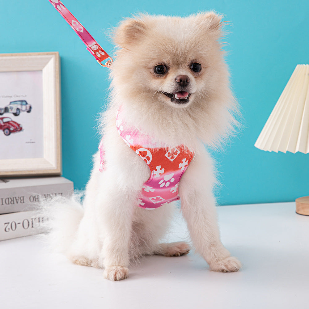 Fabric Harness and Leash Set for Everyday Dog Walks, for dogs.