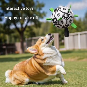 Squeaky Rubber Dog Ball – Durable Fetch & Chew Toy – side view