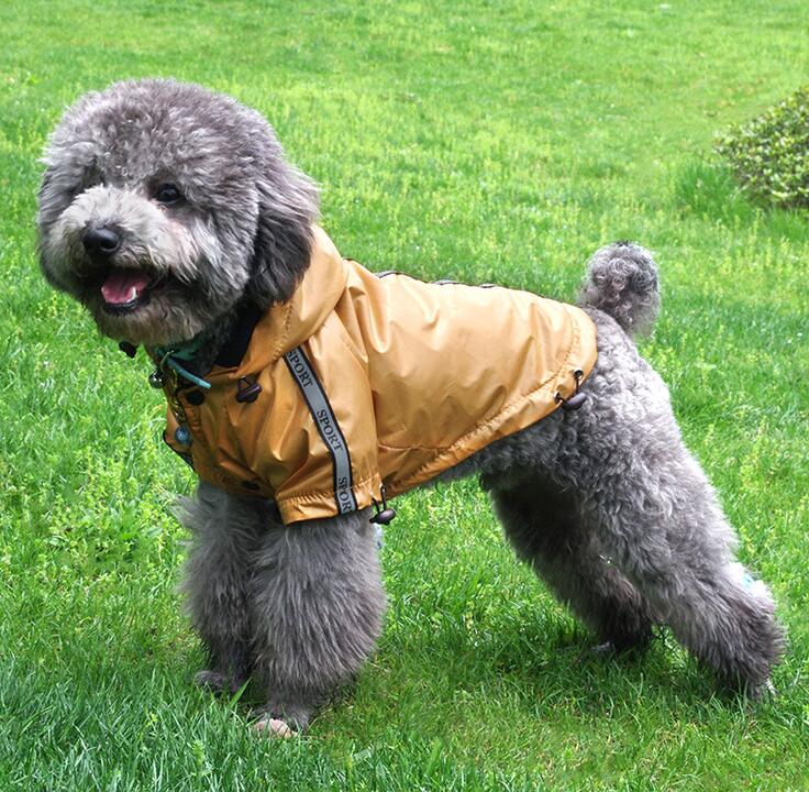 Hooded Fleece-Lined Raincoat, for dogs.