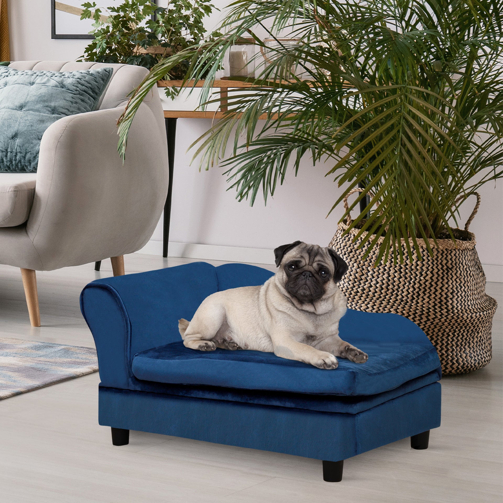 Luxury Fancy Dog Couch with Hidden Storage - kindoPet