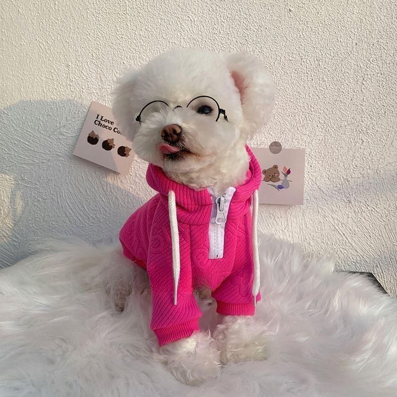 Lightweight Knit Sweater, for dogs.