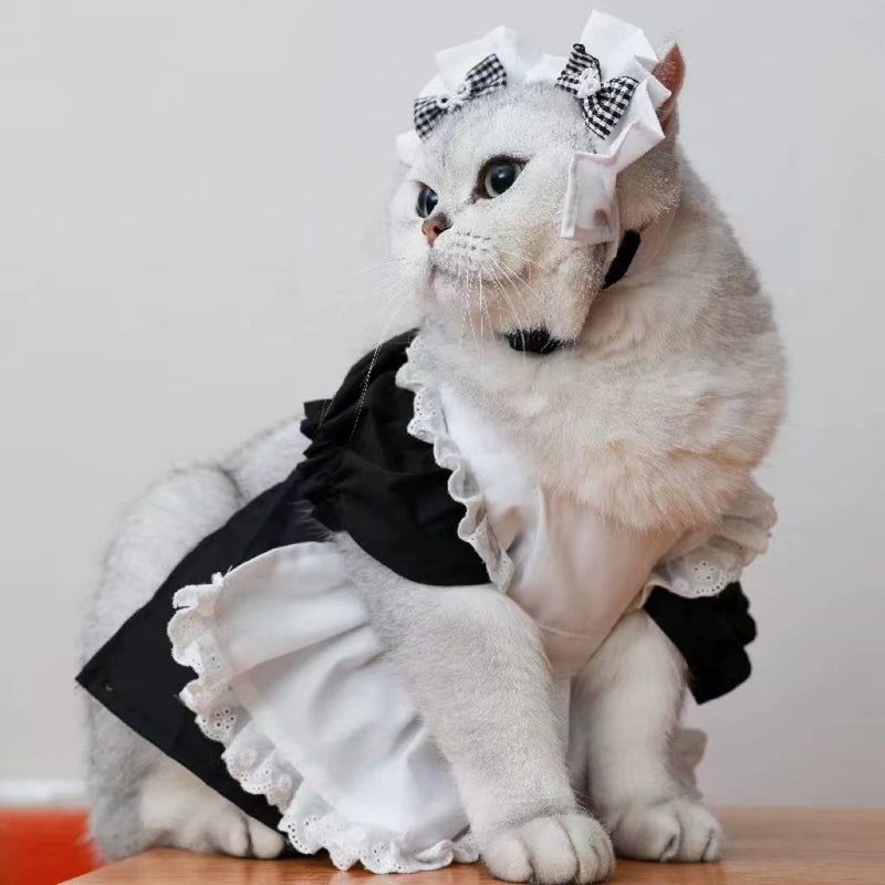 Princess Dress Costume Set for Adult Cats, Size M, for cats.