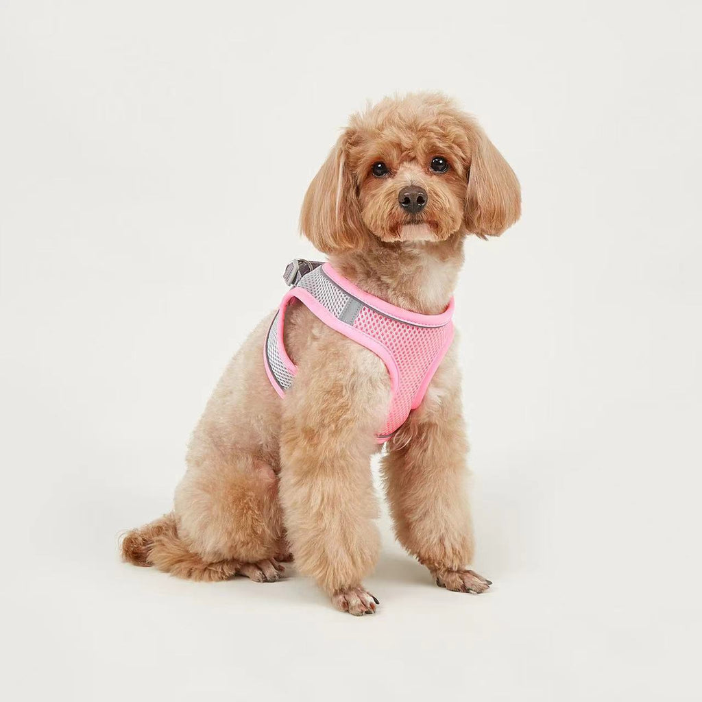 Breathable Vest-Style Leash, for dogs.
