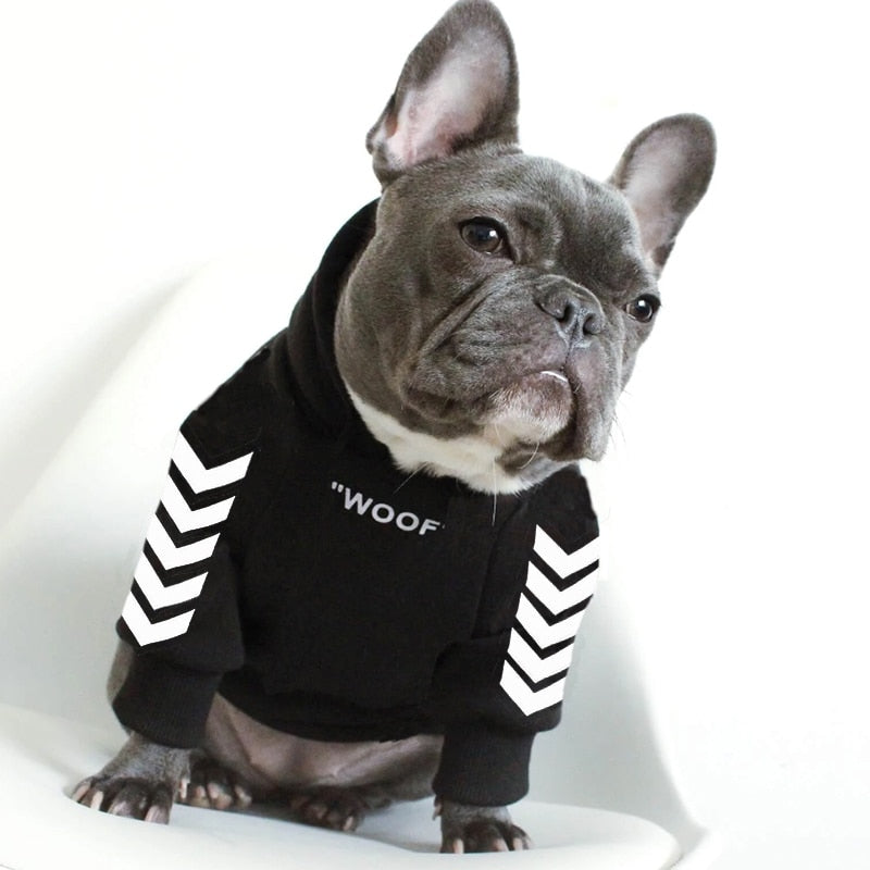 Hooded Winter Dog Jacket for Cold Walks, S to 2XL, for dogs.