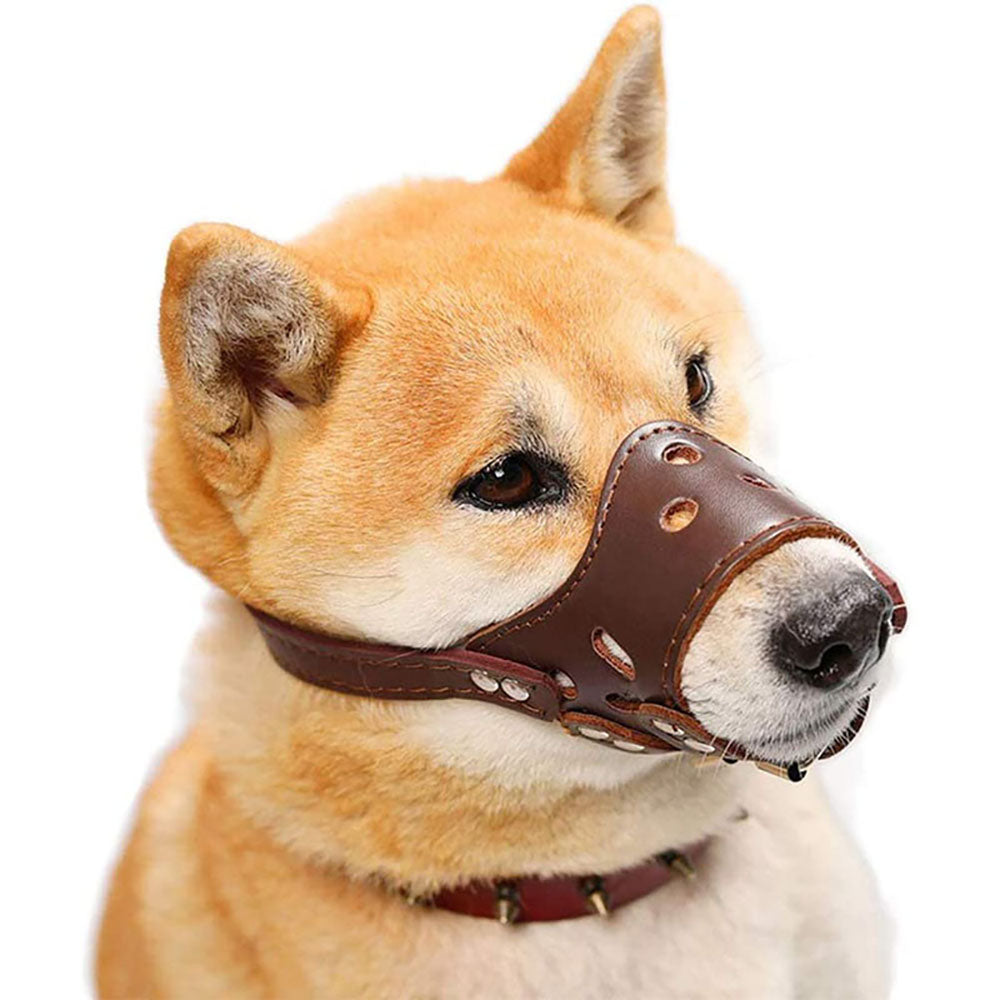 Adjustable Leather Dog Muzzle for Drinking and Panting, for dogs.