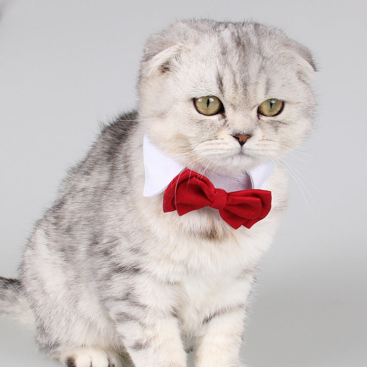 Cotton Bow Tie Collar Accessory, for dogs and cats.