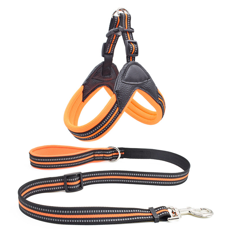 Reflective Mesh Harness and Leash Set, for dogs.