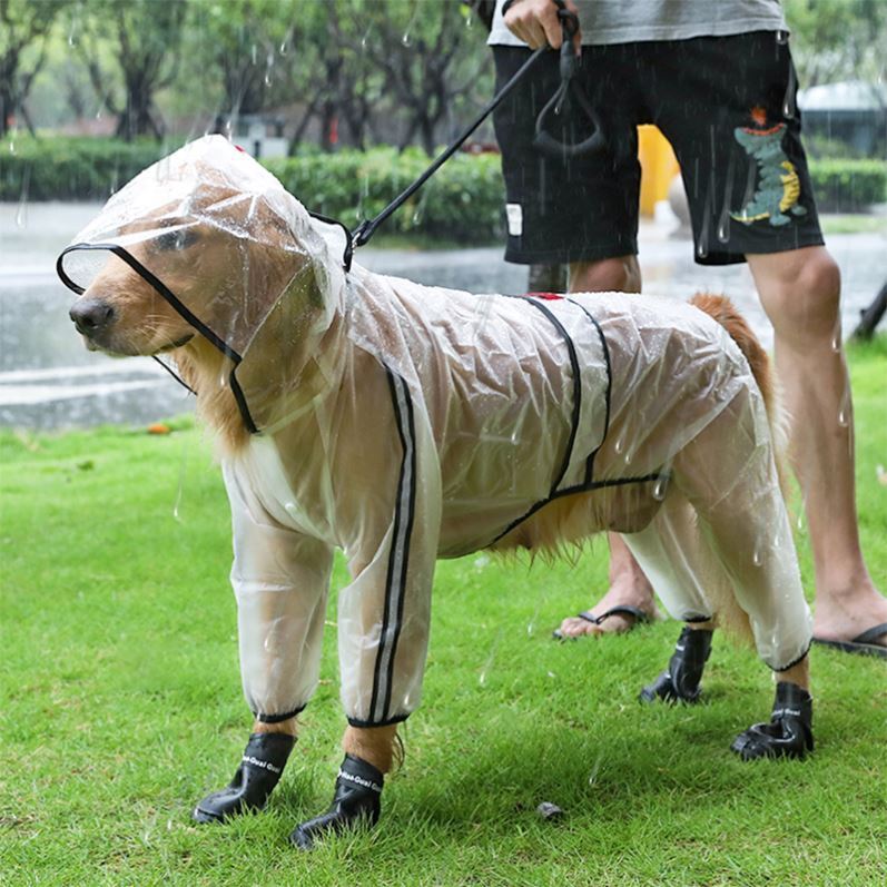 Transparent Polyester Raincoat, for dogs.