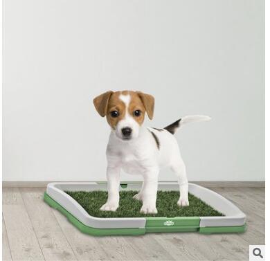 Artificial Grass Potty Trainer, for dogs.