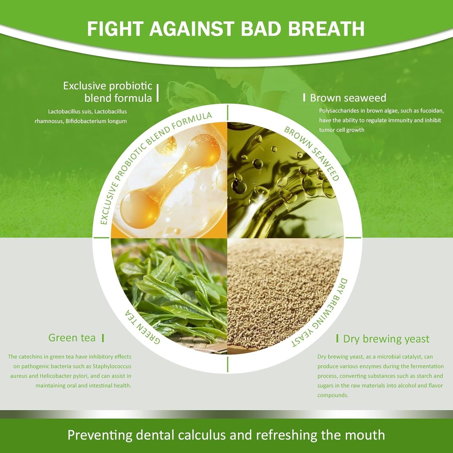 Pet Dental Powder - Freshens Breath, Protects Gums And Strengthens Teeth. An Essential For Daily Oral Care And General Dental Care. - kindoPet