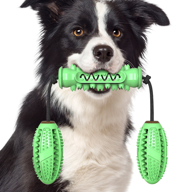 Durable Dumbbell Chew Stick – Teeth Cleaning Dog Toy – lifestyle photo