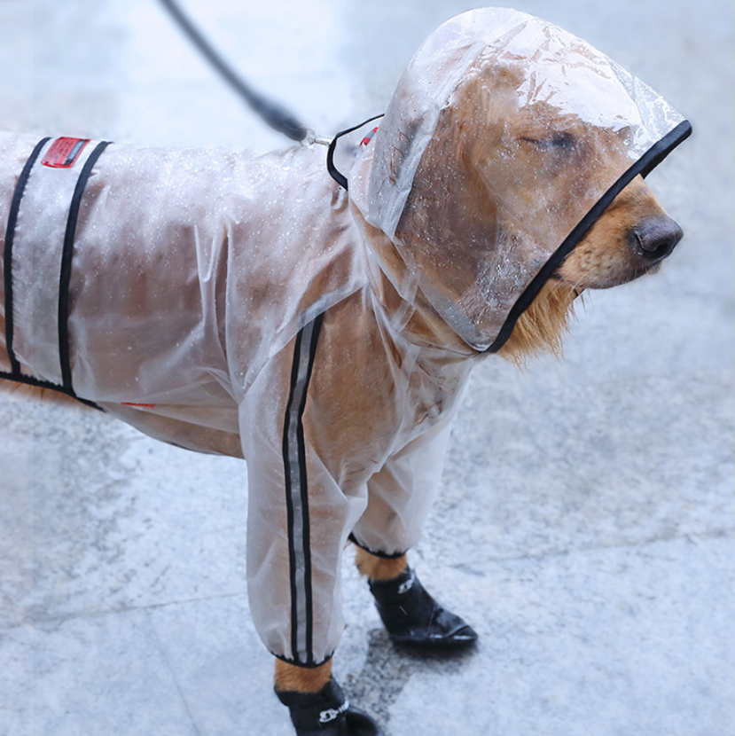 Transparent Raincoat, for dogs.
