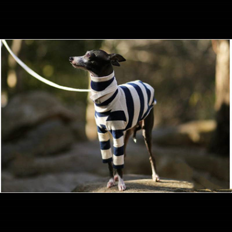 High-Neck Two-Leg Fleece Coat, for dogs.